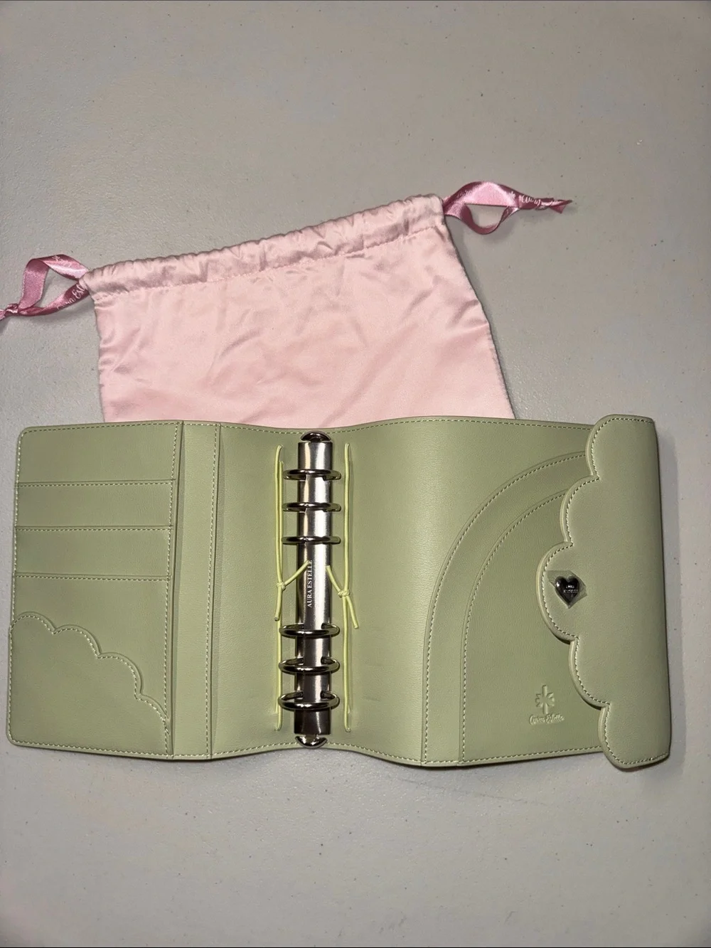 Aura Estelle planner folder + surprises